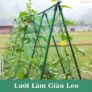Lưới Trồng Cây Leo Giàn HDPE 10x10cm: Cách Dựng Giàn Gọn Cho Ban Công Và Vườn Nhỏ